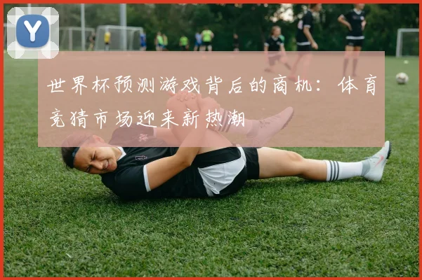 世界杯预测游戏背后的商机：体育竞猜市场迎来新热潮