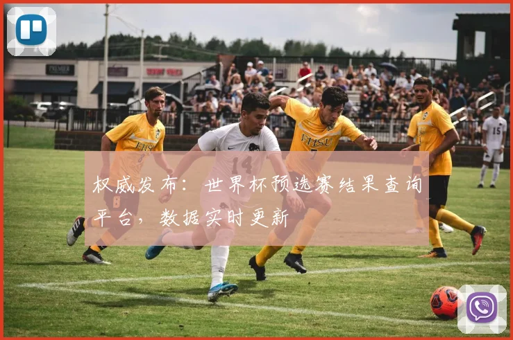 权威发布：世界杯预选赛结果查询平台，数据实时更新